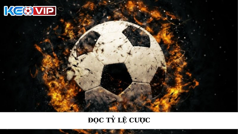 Đọc Tỷ Lệ Cược - Hướng Dẫn Chi Tiết Và Chiến Lược Hiệu Quả